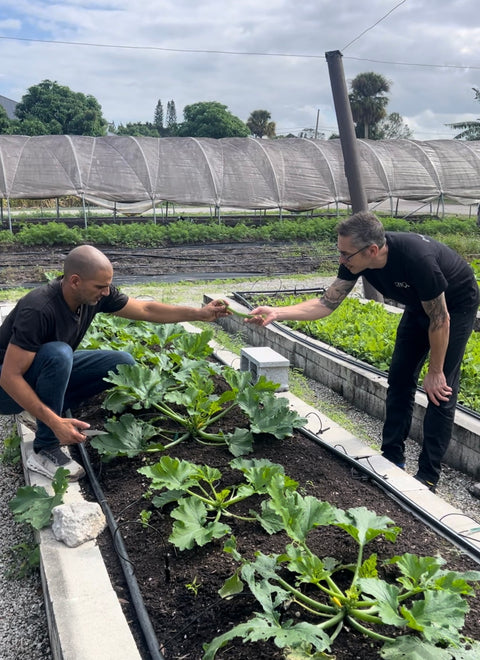 Regenerative Farming Partnerships
