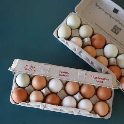 Pastured Raised Farm Fresh Eggs (1 dozen)