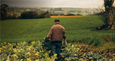 Where gourmet nourishment meets regenerative sourcing.